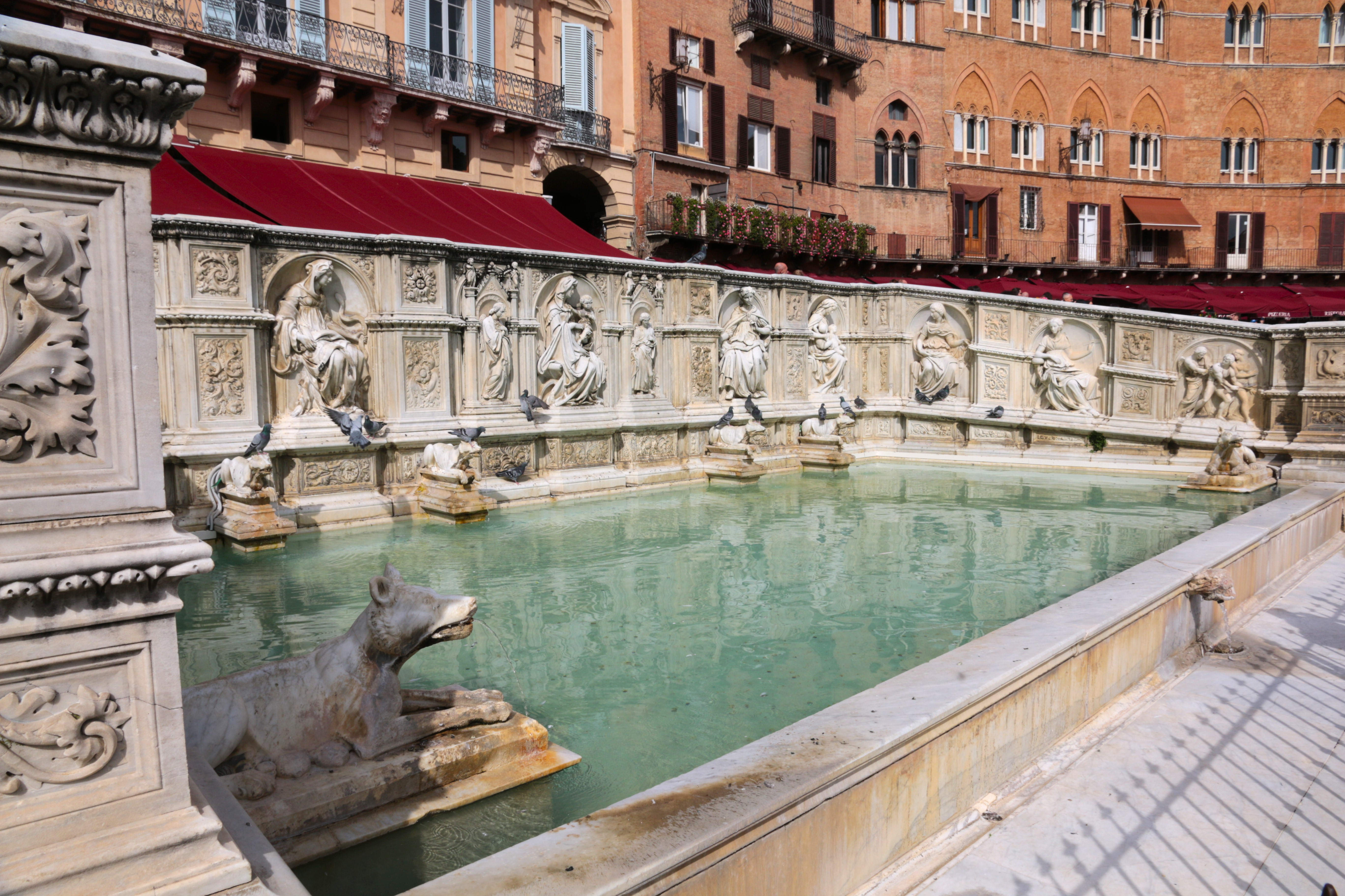 Siena